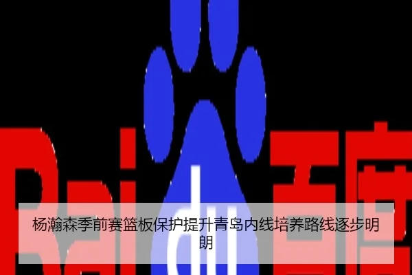 杨瀚森季前赛篮板保护提升青岛内线培养路线逐步明朗